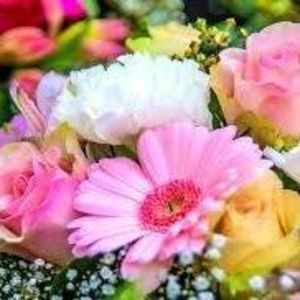 Meet your Posher, Betty